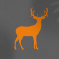 Orange deer on light grey