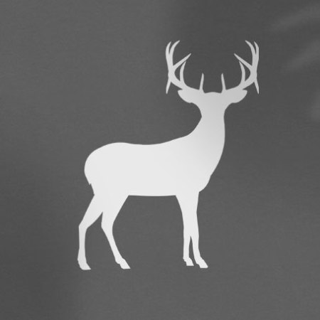 white deer with antlers